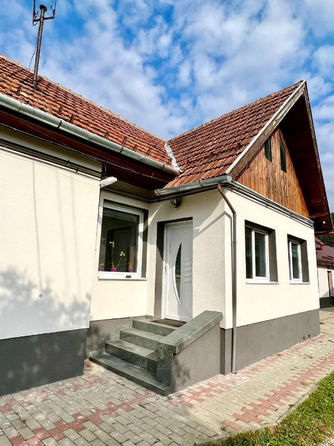 Silver House Rasnov Kültér fotó